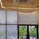 스피드메이트 평택고덕점 이미지