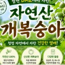 고향철물