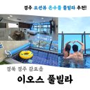 이오스호텔 | 경주 오션뷰 숙소소 내돈내산 온수풀수영장 D302호 _이오스풀빌라