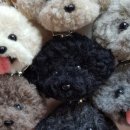 그립톡 양모펠트 이미지