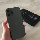 성지오토바이 이미지