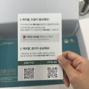중앙미생물연구소 캐치콜 라이트후기! 15시간 노폐물 배출 프로그램 직접 체험해봤어요!