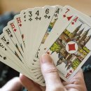 제일피복 이미지