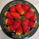 산모건강증진센터 | 무시무시한 임당검사Day...! :: 송파산모건강증진센터 임당검사 후기(임당 검사 앞두고 혈당 낮추기)