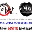 타이탄 히어로즈 태권도 이미지