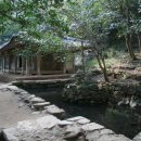 약천한의원 | 차에 관한 시 한편 - 다향만당(茶香滿堂)