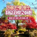 도심속자연나무한의원 | 아이와 함께 다녀온 하남 나무고아원 후기! 자연 속에서 뛰놀기 좋은 숲 놀이터