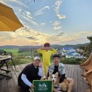 오로라애견 이미지