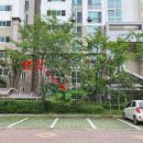 논현사랑약국 이미지