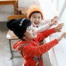 골든피쉬