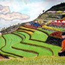 가천다랭이마을 이미지