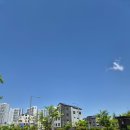 [임신36주] 이제 10개월. 분만형태 결정