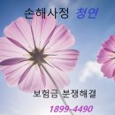 근이케이스 이미지