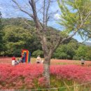 선운산정자나무집 이미지