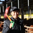 죽림농장 이미지