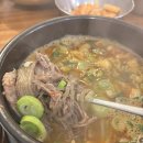 비래옥 | 대전 곰탕 육회비빔밥 맛집 비래옥 내돈내먹 후기
