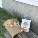 고양이사료 , 캣잇 더블퓨전 어덜트 먹여본 후기!