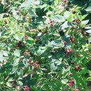 이재홍내과의원 이미지