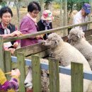 은성목장 이미지