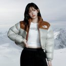 에스엔제이 에코(S&J ECO) | 올해도 겨울아우터로 대박난 노스페이스 눕시 패딩 TOP4