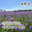 WR(부산광역시 강서구)-31[르노삼성대로]-하-2 | 부산근교당일치기 데이트 대저생태공원 버베나 주차 실시간