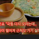 🌏🗽🗳한덕수 대선 후보 추대위원회 정치공작 ‼️ 이미지