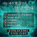 돋음