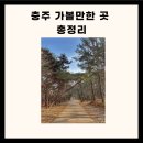 충주 가볼만한 충주 가볼만한곳 베스트10 충주 가볼만한곳 이미지