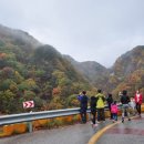 소가주천 이미지