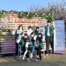 박람회길 이미지