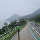참전복로(보전항) Daum카페