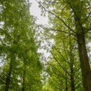 용지호수공원 이미지