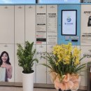 탑 크리닝 이미지