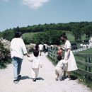 방림목장 이미지