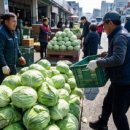 태양식자재유통 이미지