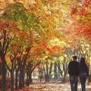 Freddy Fender / Before the Next Teardrop Falls(다음 눈물 한방울이 떨어지기전에) 이미지