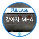 서울동물의료센터 이미지