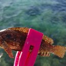 성경공인중개사사무소 이미지