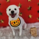 땡자네 묭실 이미지