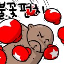 다이나복싱체육관 이미지