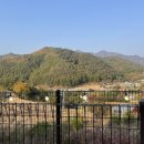 레이지507B 이미지