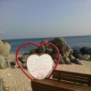 바우길 12구간 이미지