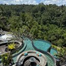 더정글 | 발리 더카욘 정글 리조트 수영장 후기 우붓 로컬 맛집 추천