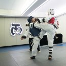 서래태권도 이미지