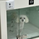 짱구 애견 하우스 이미지