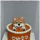 반려동물 케이크만들기 이미지