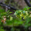 청계산 등산로 이미지