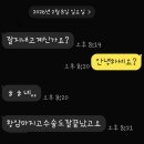 전생에인연펫 이미지