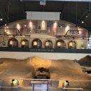 청양군백제문화체험박물관 이미지