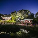 달빛 뉴스1